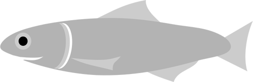 Ansjos fisk