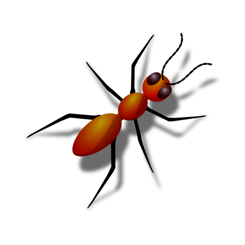 Ant-beeld
