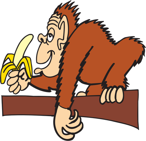 Comendo banana macaco