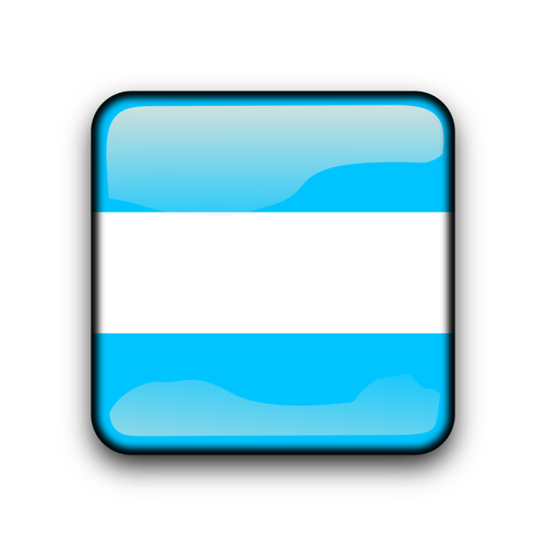 Bandeira de botÃ£o brilhante da Argentina
