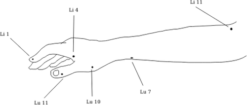 Imagem de vetor de diagrama de braÃ§o dianteiros
