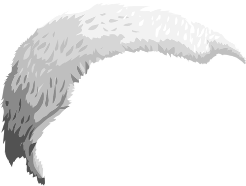 Illustrazione vettoriale di elemento capelli vanitÃ 