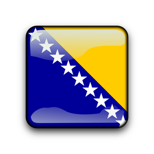 Buton de drapel Bosnia ÅŸi HerÅ£egovina