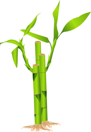 NÃ¤rbild av bambu stjÃ¤lk vektor illustration