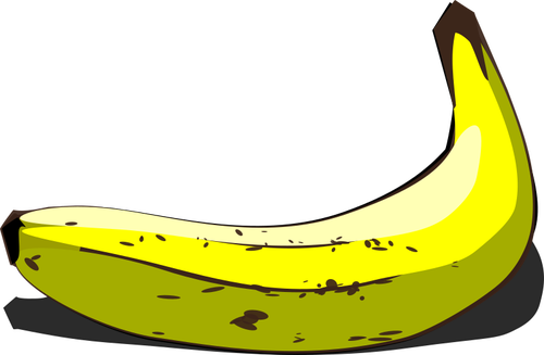 Banana inteira no emparelhamento de imagem vetorial