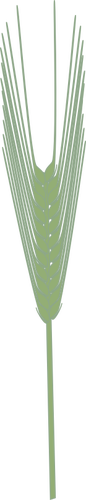 JeÄmen rostlin Vektor Klipart