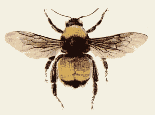 Imagen de abeja retro