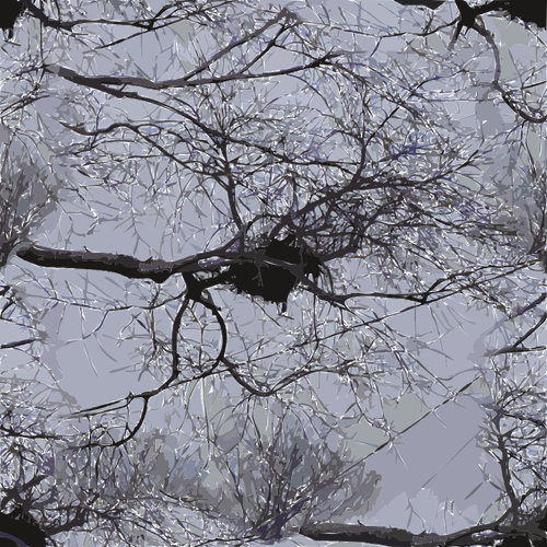 Bild von Vogel-Nest auf Ã„ste mit Stromleitungen oben