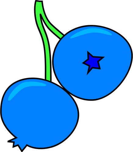 Blueberry vector afbeelding