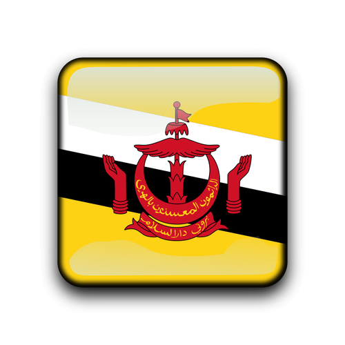 Brunei bandera vector botÃ³n