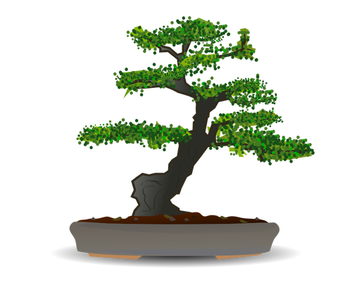 Bonsai copac de desen vector
