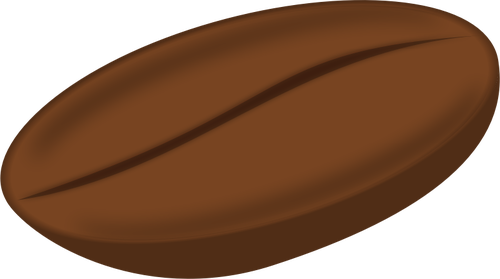 Coffee Bean vector image in color