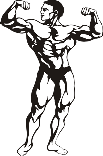 Musculare om