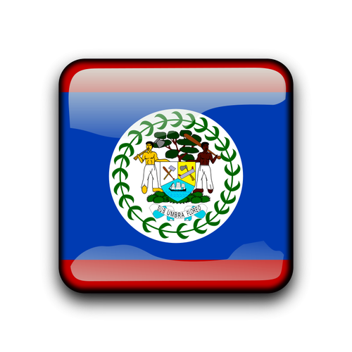 BotÃ£o de bandeira de vetor de Belize
