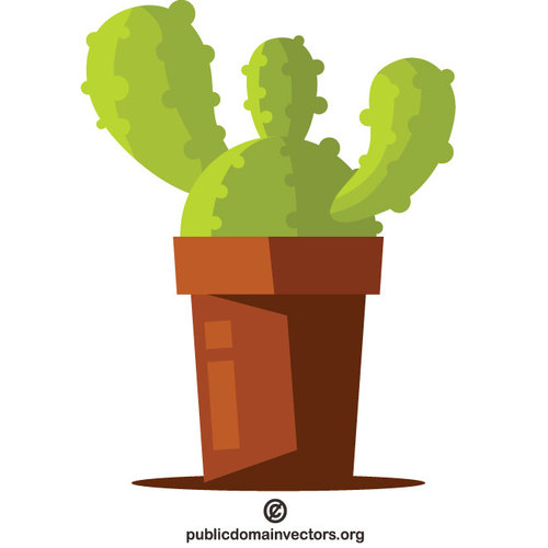 KaktusovÃ© kvÄ›tiny v hrnci