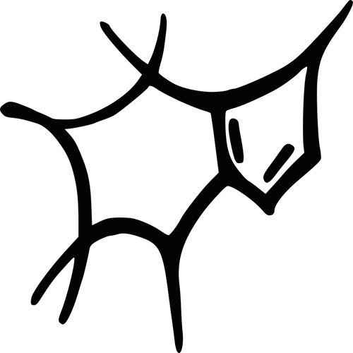 Caffeine molecule sketch