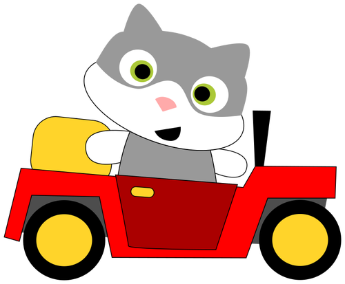 Kucing yang mengendarai mobil