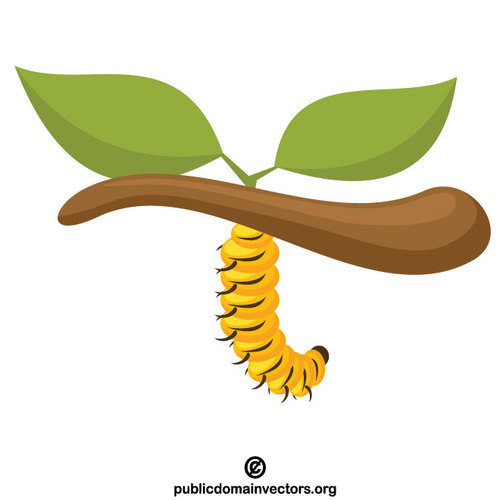 Caterpillar en una rama de Ã¡rbol