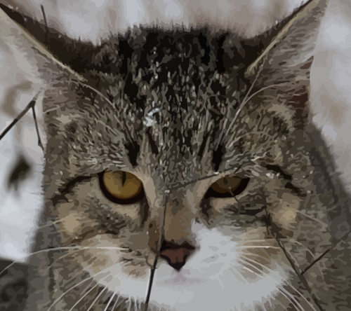 Cat wajah vektor ilustrasi