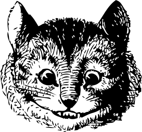 Cheshire cat din Alice in Tara Minunilor