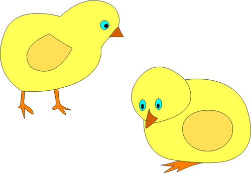 Gambar vektor dua anak ayam kuning yang berkeliaran