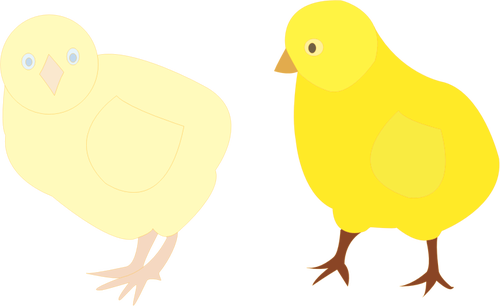 Vector de la imagen de dos polluelos en distintos tonos de amarillo