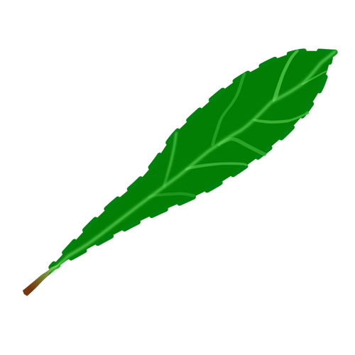 Leaf kronblad