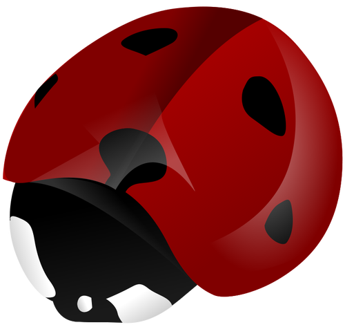 Ladybird vectoriale