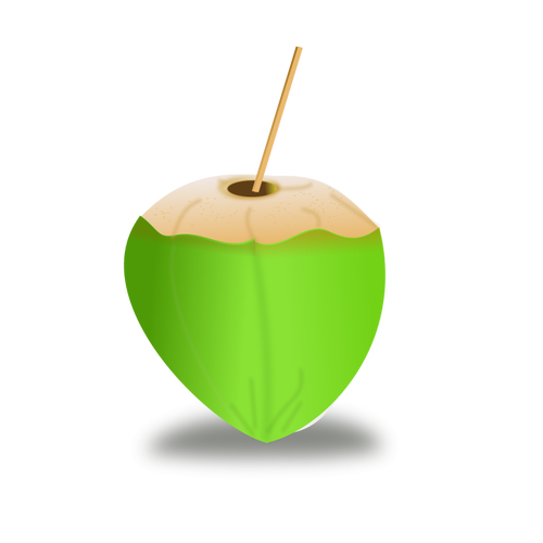 Image vectorielle vert noix de coco