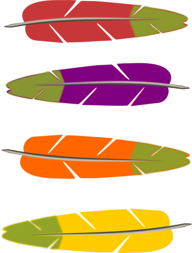 Plumas colores grÃ¡ficos vectoriales