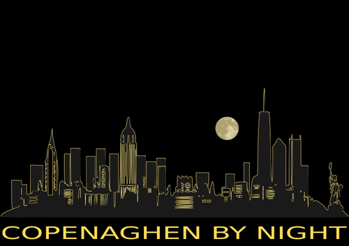 Copenhague por noche
