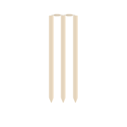 Cricket stronken en rails vector afbeelding
