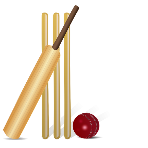 Vector drawing of cricket equipment