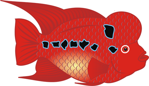 Flowerhorn fisk vektor