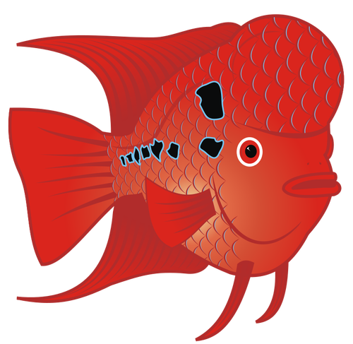Ikan ikan Lou vektor gambar