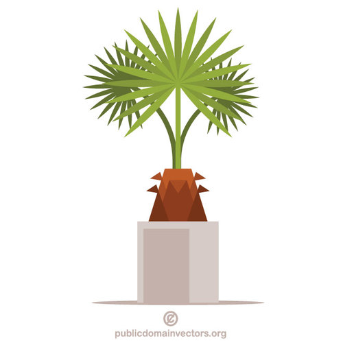 PlantÄƒ decorativÄƒ de palmier