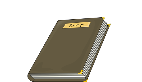 Gray diary
