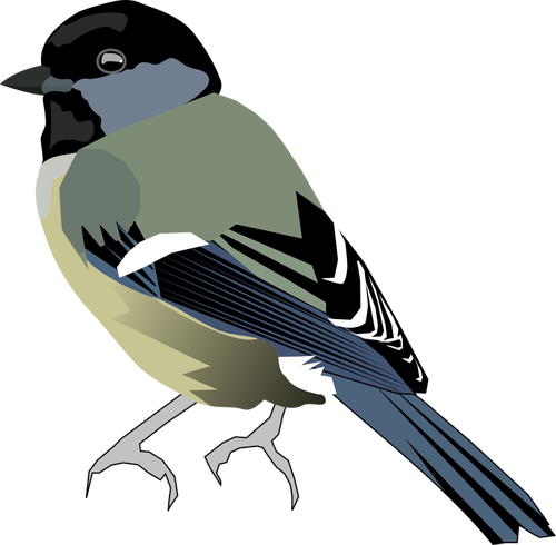 Grafika wektorowa kolorowego ptaka z przodu szary