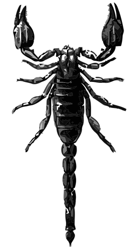 Scorpion Å¡edotÃ³novÃ© vektorovÃ© kreslenÃ­