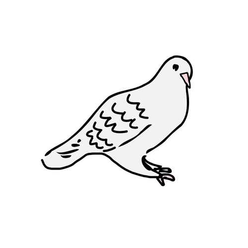 Dove ÅŸedinÅ£ei graficÄƒ vectorialÄƒ