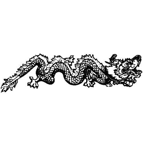 Dragon vector illustraties