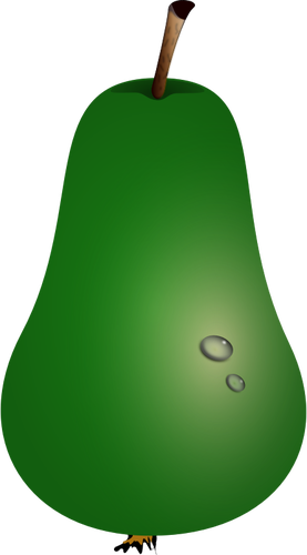 Illustrazione vettoriale di pera