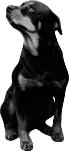 Fotorealistisk vektorritning av Rottweiler