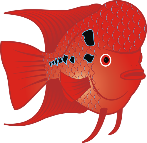 Merah ikan mas