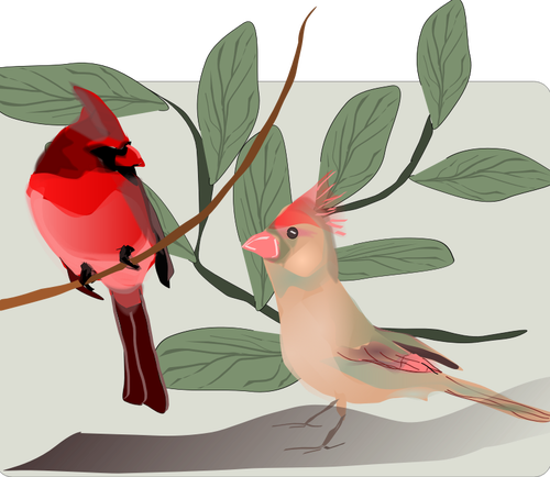 VektorovÃ½ obrÃ¡zek z barevnÃ© vrabci na vÄ›tev stromu