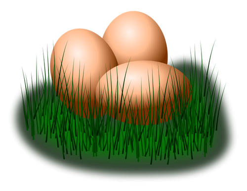 Eieren in gras vector afbeelding