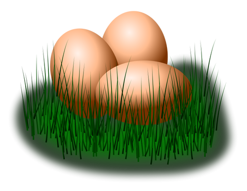 Huevos en imagen vectorial de hierba