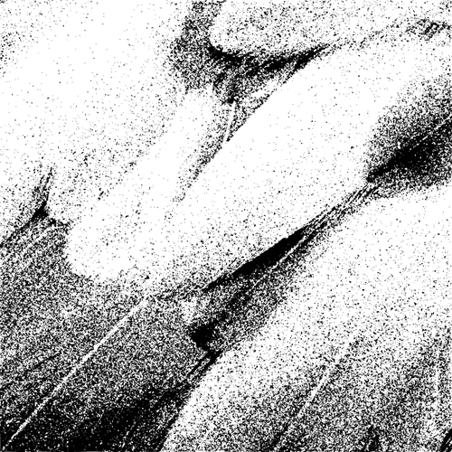 Vektorgrafikk utklipp av fjÃ¦r spor i svart-hvitt
