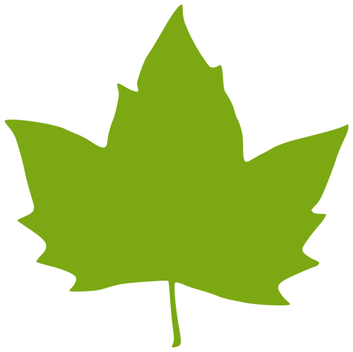 Vector Illustrasjon av en maple leaf