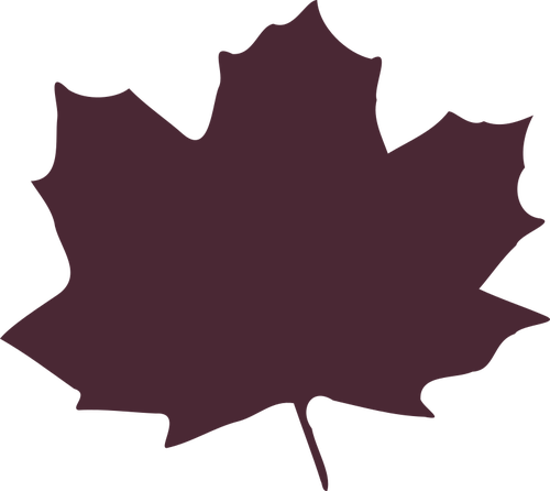 FÃ¤rgbild maple leaf silhuett vektor